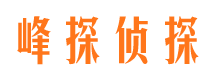 浉河侦探公司